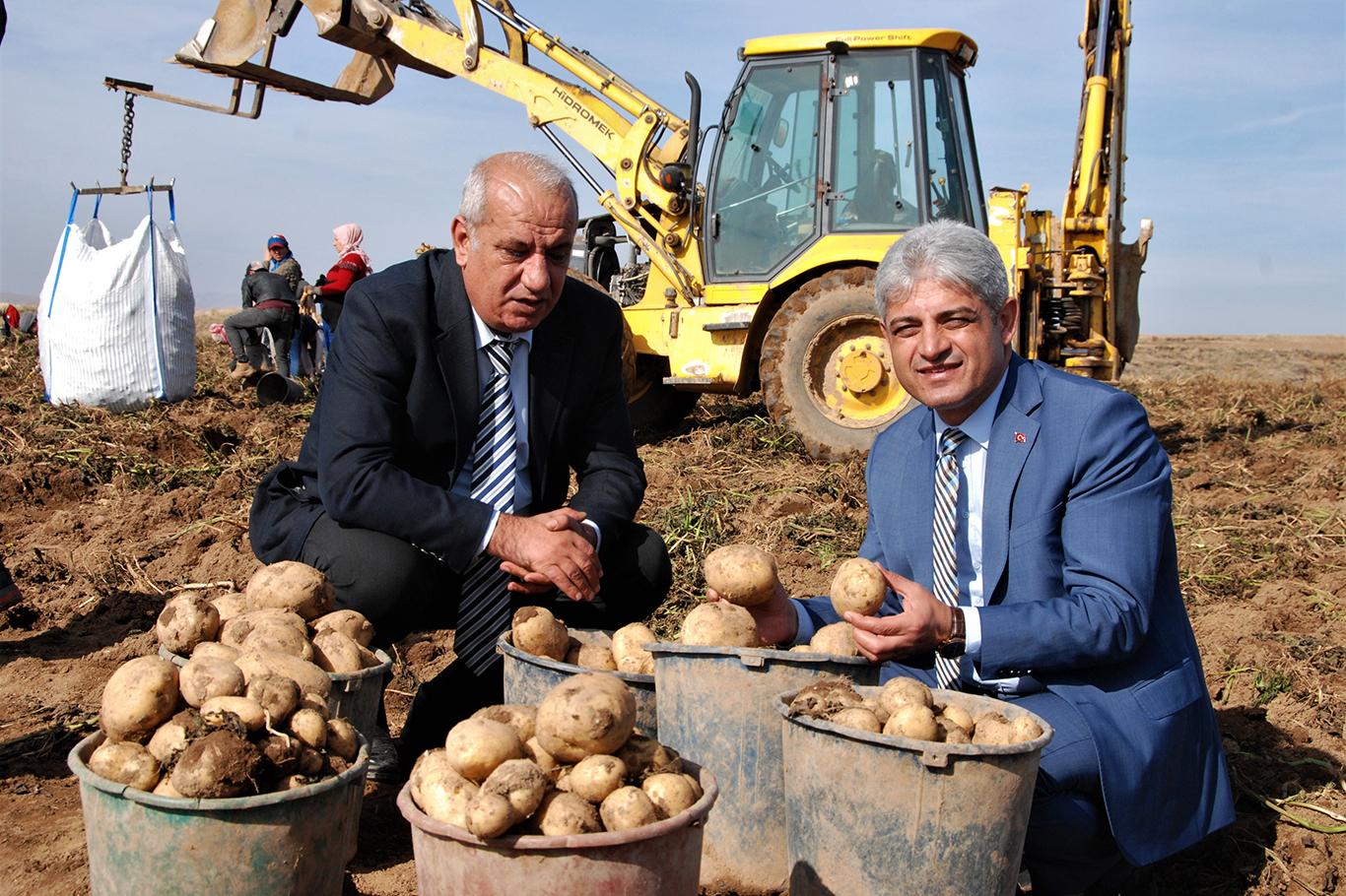“Patatesin kent ekonomisine katkısı yıllık 260 milyon TL’dir”